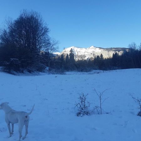 Appartement En Station De Ski A 700 M Des Telecabines Et 100 M Du Centre-Village เลการ์รอซ-ดาราช ภายนอก รูปภาพ