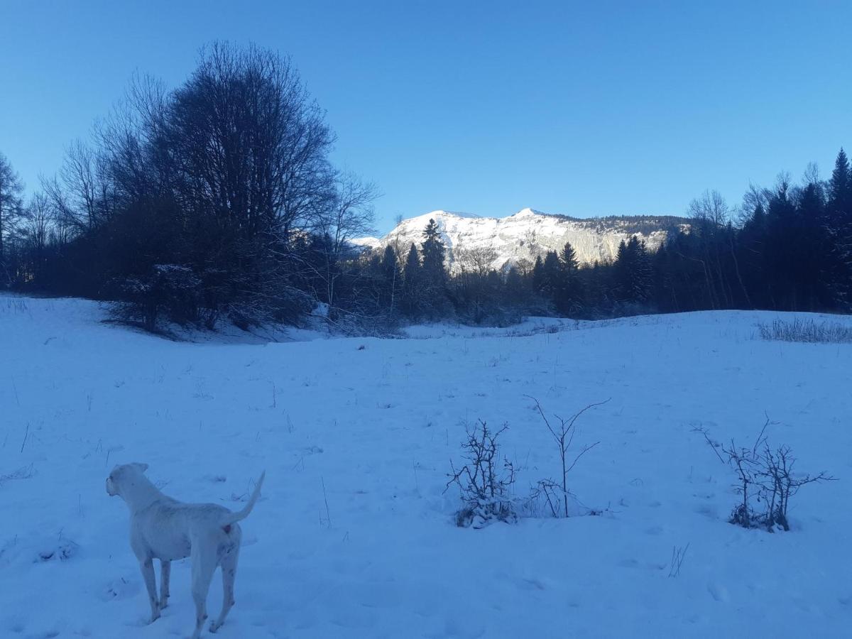 Appartement En Station De Ski A 700 M Des Telecabines Et 100 M Du Centre-Village เลการ์รอซ-ดาราช ภายนอก รูปภาพ